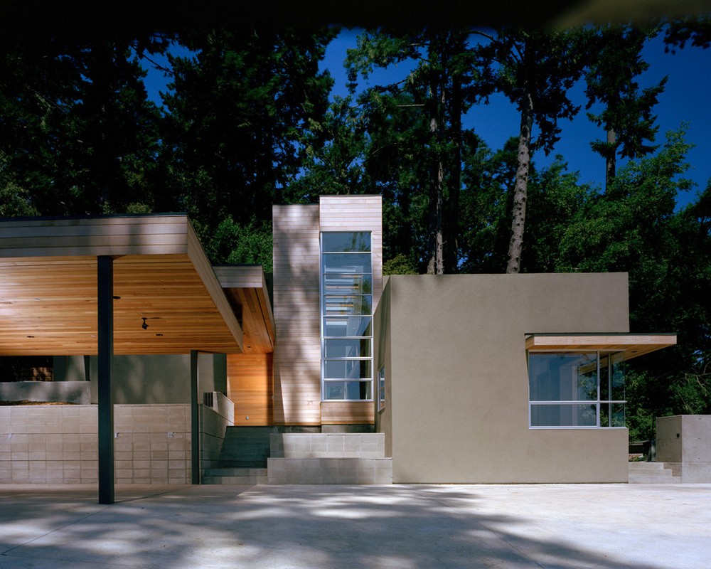 cedar forest contemporary structure