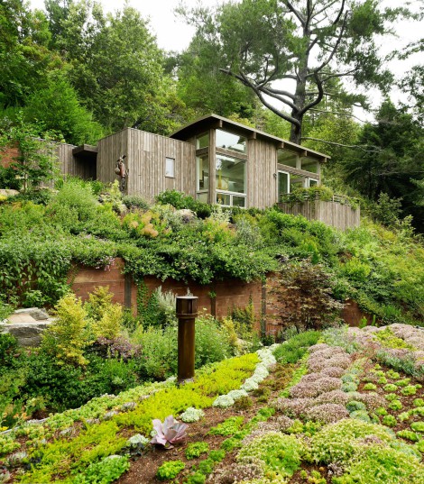 forest house with outdoor garden