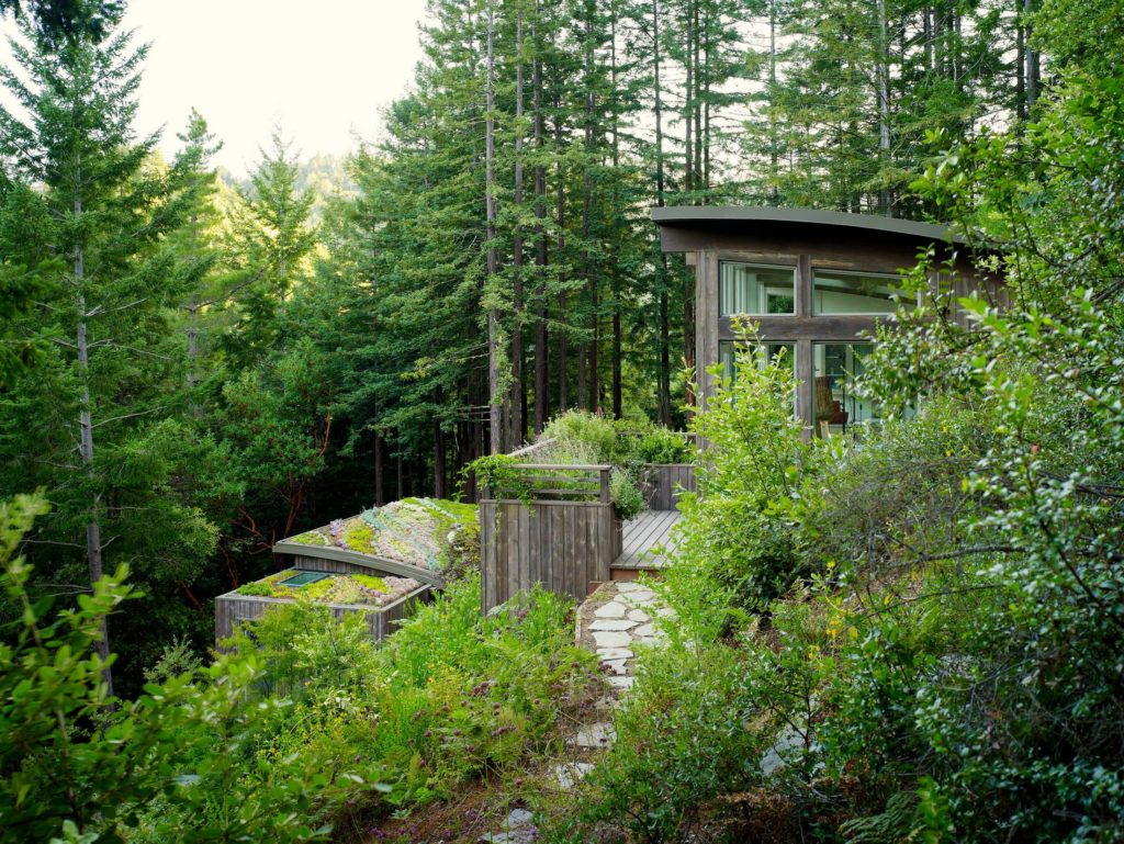 secluded home with rooftop garden