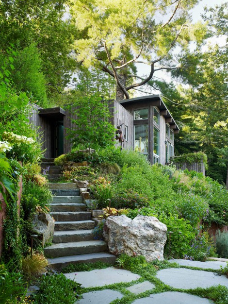 steps with large stones and a lot of green