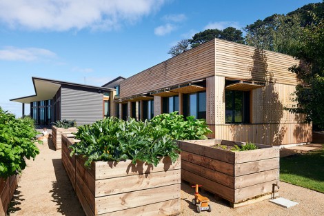 vegetable patch on raised beds