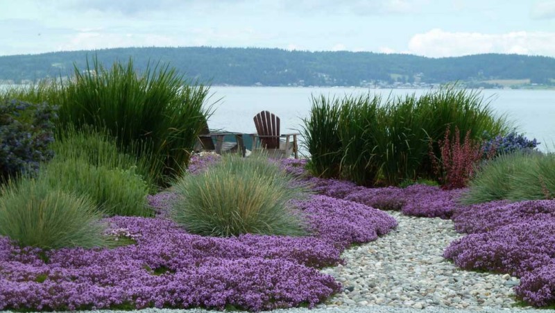 lake side viewing area