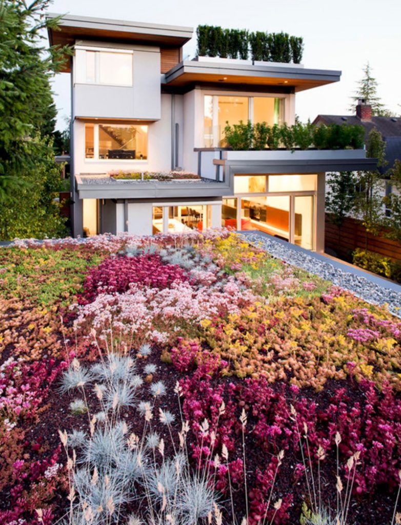 rooftop garden eco home